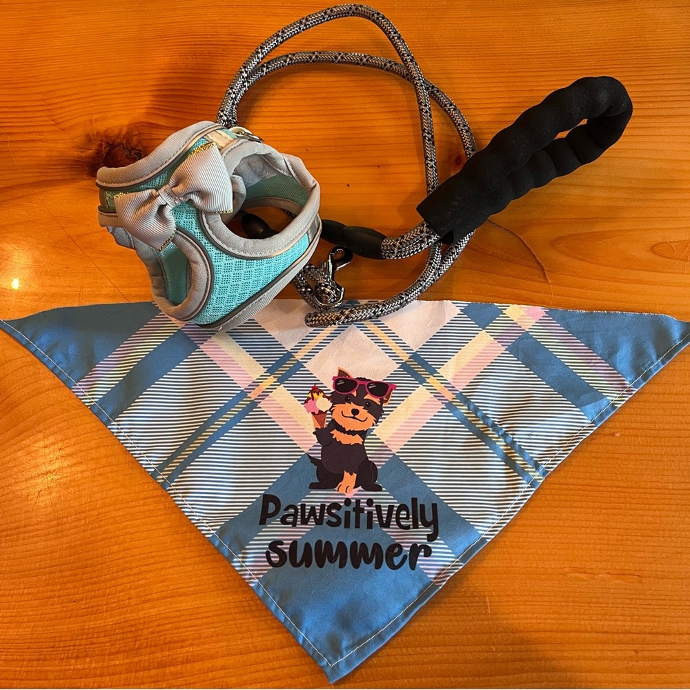 Tiny dog harness leash and neck scarf xxs